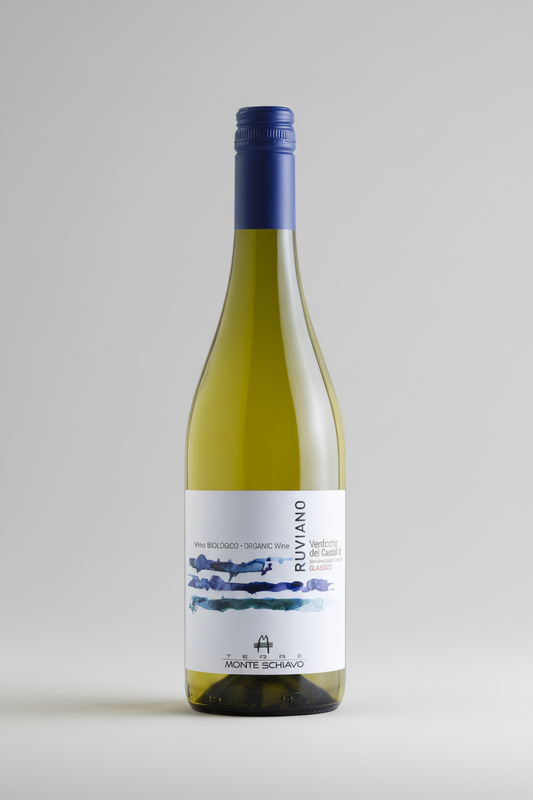 Monte Schiavo Ruviano Verdicchio Classico, Verdicchio dei Castelli di Jesi DOC [Organic] 2024