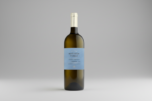 Bottega Vinai Pinot Grigio, Trentino DOC 2024