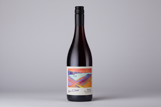 Here & There Malbec, WO Swartland 2025