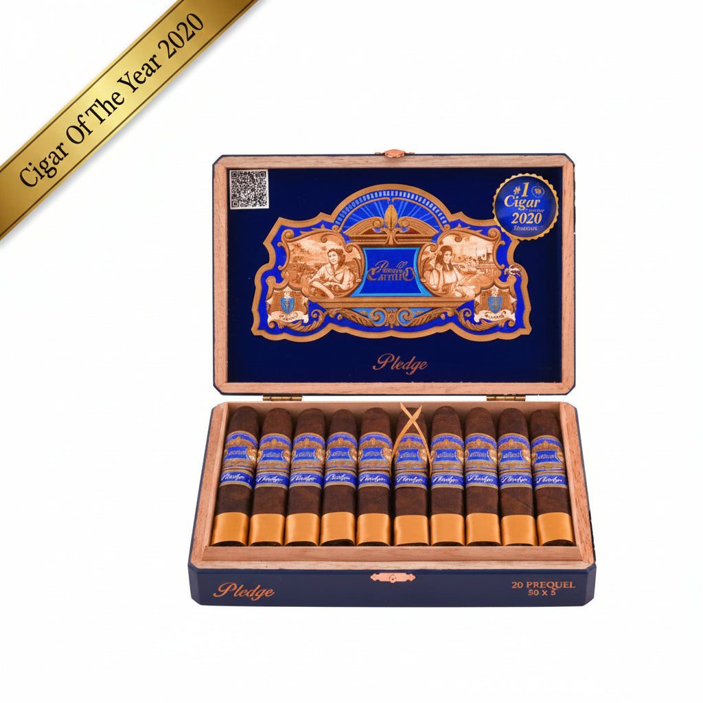 Casa Carrillo - Pledge Prequel